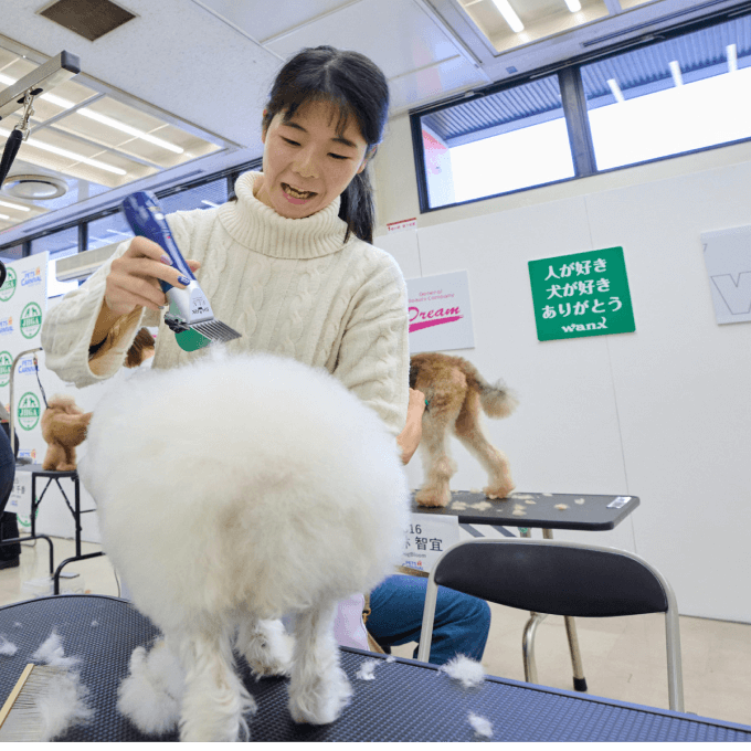 犬の写真